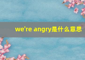 we're angry是什么意思